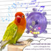 Blue Budgie Parakeet Training Toy with Spinning Saucer and Balls for Small Birds and Conures