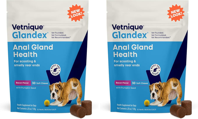 Vetnique Glandex Anal Gland Soft Chews with Pumpkin, Digestive Enzymes, Probiotics, Fiber Supplement for Dogs (Bacon Flavor, 60 Count)