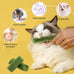 30g cat grass sticks for cats, delicious edible chew toy treats for teeth cleaning and hairball removal