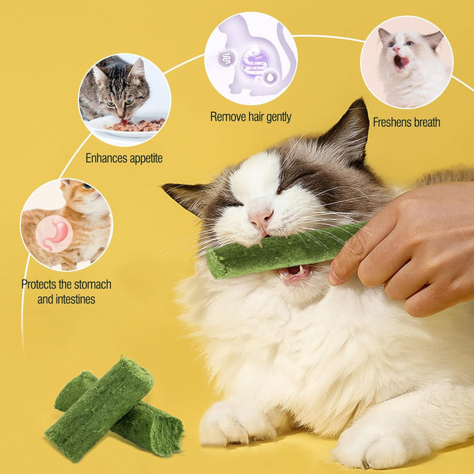 30g cat grass sticks for cats, delicious edible chew toy treats for teeth cleaning and hairball removal