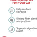 Royal Canin Feline Care Nutrition Hairball Care Adult Dry Cat Food, 6 lb Bag