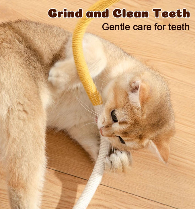 Cat Chew Ropes 4Pcs for Indoor Cats with Refillable Natural Catnip and Soft Cotton Rope Design