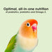 Kaytee 3 Pound Nutri Soft Parrot & Conure Bird Food, Soft Texture, No Artificial Colors or Flavors