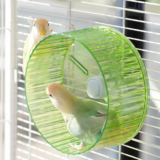 6.8-inch parrot silent exercise wheel, parrot exercise wheel, green