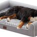 Large Dog Bed Dark Grey 45x35x7 Inch Orthopedic XXL Dog Bed for Medium Size Dogs