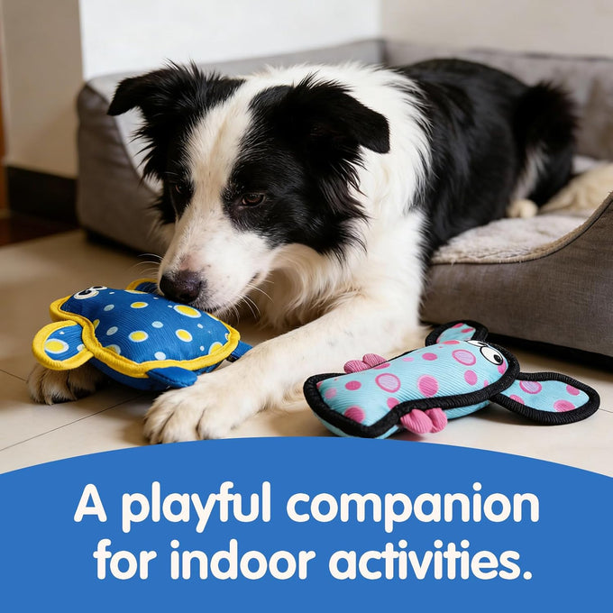 turtles & lobsters small dog toys cute colorful indoor play durable fabric non-shedding material