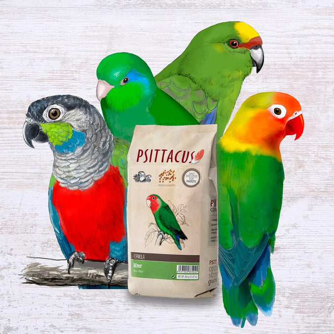 Psittacus Minor 1 lb Complete Pellet Diet for Lovebirds Parrotlets and Green Cheeks
