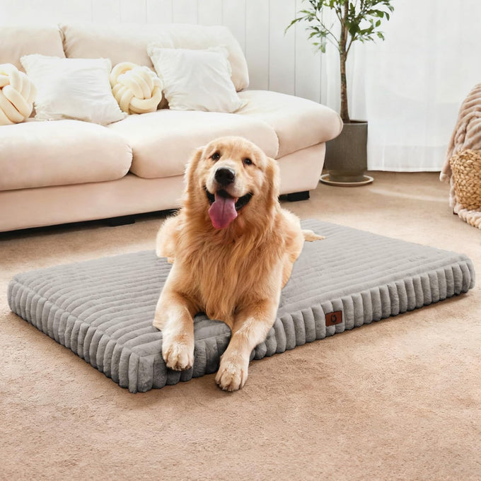 large dog beds with orthopedic support, waterproof lining, and plush surface