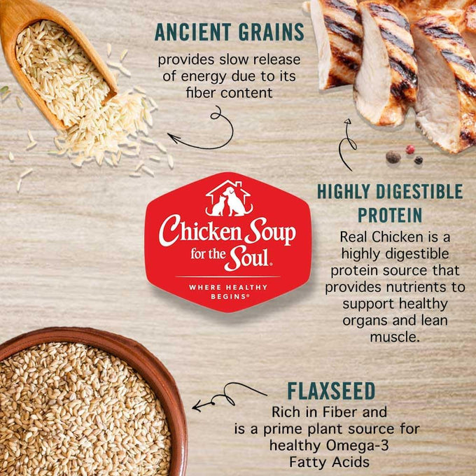 Chicken Soup Classic Wet Dog Food - Soy, Corn & Wheat Free