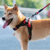 emotional-support-dog-tag-metal-pet-id-tags-esa-tag-red-medical-alert-symbol-double-sided