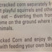 Wagner's 18542 cracked corn bird food, 10-pound bag for ground feeding birds and backyard wildlife