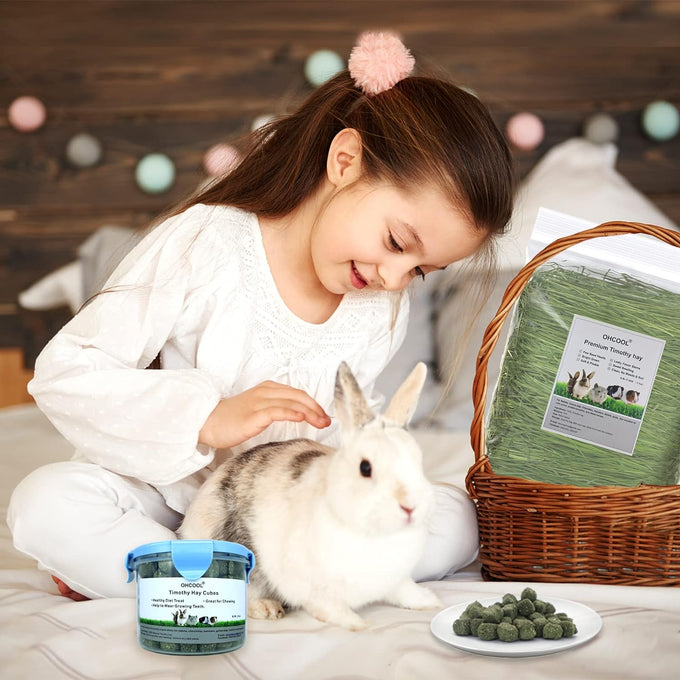 Timothy Hay Cubes 10 oz small timothy grass pellets for tortoise rabbit guinea pig chinchilla