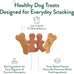 portland pet food company natural dog treats variety, grain-free, human-grade, healthy