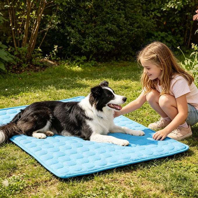 Upgraded Arc-Chill cooling dog bed mat, washable pet cooling pad for dogs & cats, 28x22 in, blue