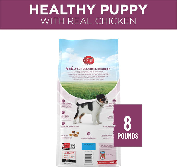 Purina ONE Healthy Puppy Formula Natural Dry Dog Food - 8 lb