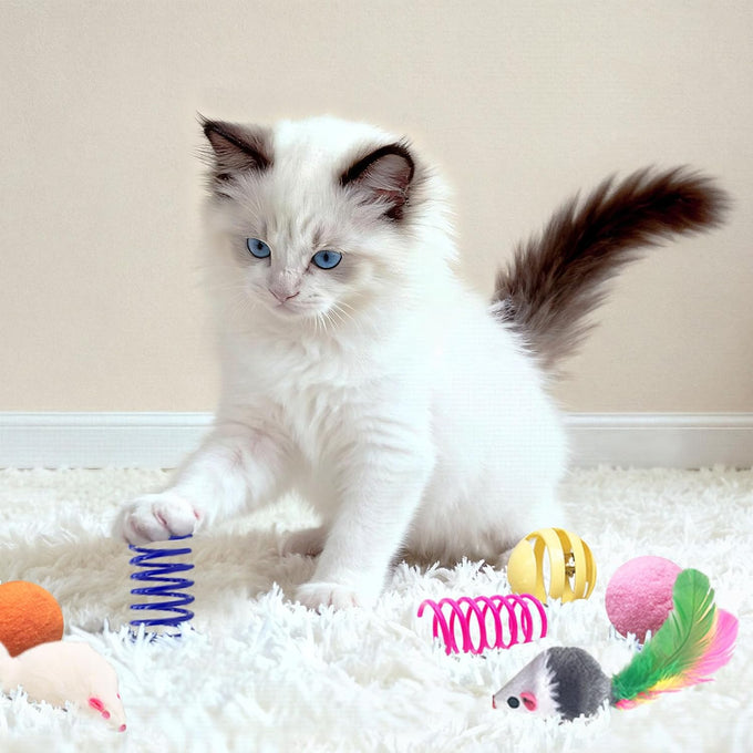 Cat Toys Set for Indoor Cats, 35-Pack Interactive Toy Set with Colorful Springs and Mouse