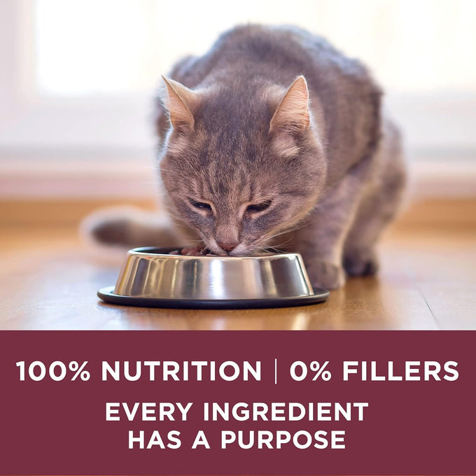 purina one high protein dry cat food urinary tract health formula 16 lb bag