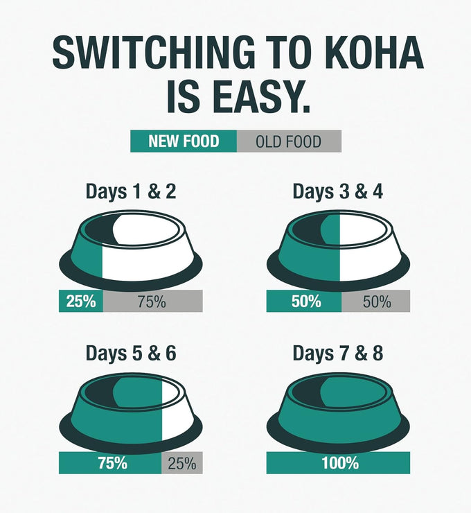Koha Limited Ingredient Diet Duck Paté for Cats, 96% Duck Sensitive Stomach Cat Food Trial Pack (3 Cans)