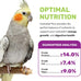 Cockatiel Plus 5 Lbs bird seed, nutrient-rich mixed birdseeds, natural seeds for small parrot, daily growth energy, healthy balanced diet