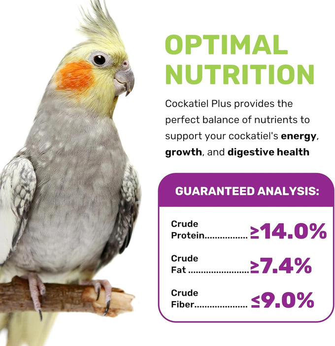Cockatiel Plus 5 Lbs bird seed, nutrient-rich mixed birdseeds, natural seeds for small parrot, daily growth energy, healthy balanced diet