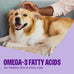 Wellness CORE Tiny Trainers Natural Grain-Free Dog Treats, Turkey and Pomegranate Recipe, 6 oz Bag, Bite-Sized Soft Rewards for All Breeds