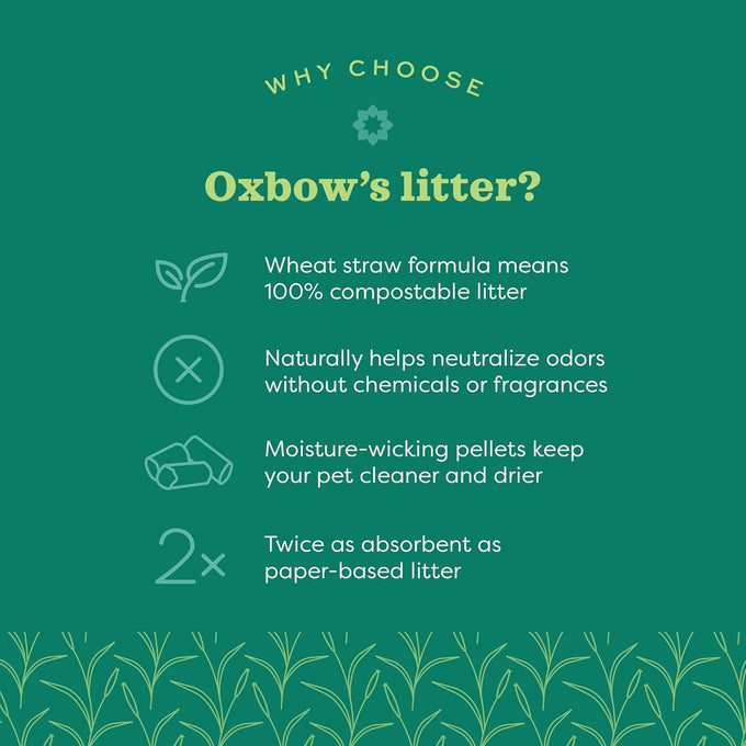 Oxbow eco straw wheat straw litter for small animals, natural, low dust, usa made, 20 lb bag
