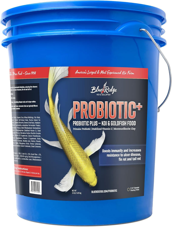 Blue Ridge Probiotic Plus 3/16" Floating Pellet Koi Food, 5lb, for Immunity and Digestion