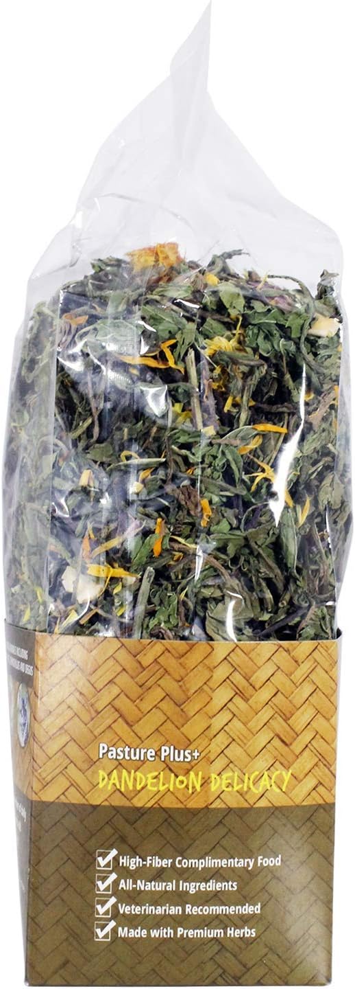 Exotic Nutrition Pasture Plus+ Dandelion Delicacy - Natural High-Fiber Dried Flower Treat for Herbivorous Small Pets