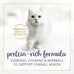 Purina Fancy Feast Grilled Wet Cat Food Beef Feast in Savory Wet Cat Food Gravy - 3 oz. Cans (Pack of 24)