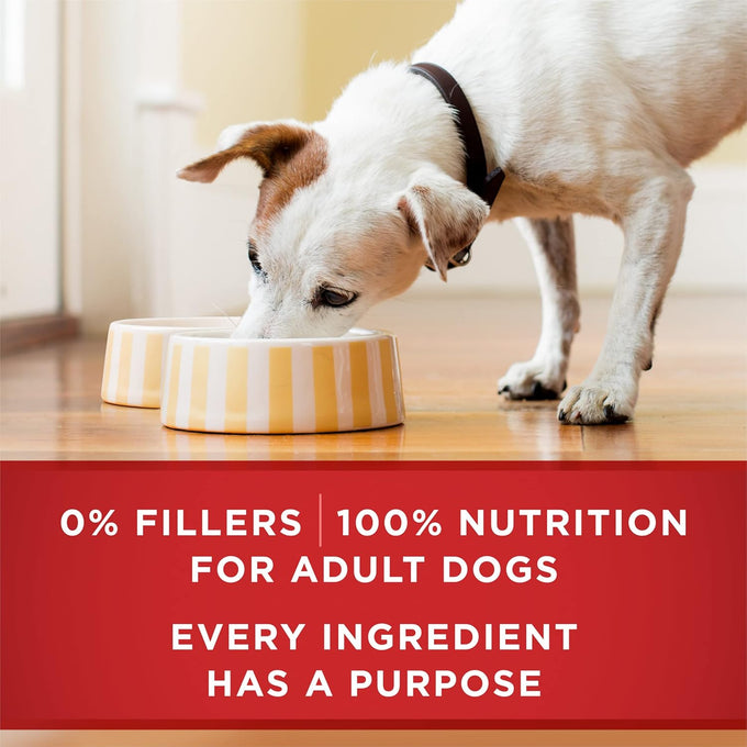 Purina ONE Natural High Protein Dog Food, Tender Cuts in Gravy Chicken and Brown Rice Entrée - 13 Ounce (Pack of 12)