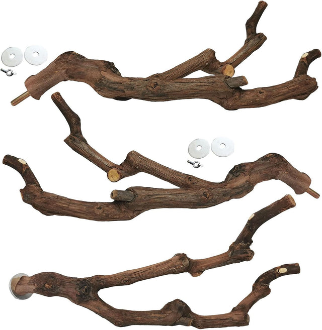 kathson natural parrot bird stand pole wild grape stick paw grinding fork parakeet climbing standing branches toy chewable cage accessories for small budgies cockatiels lovebirds set