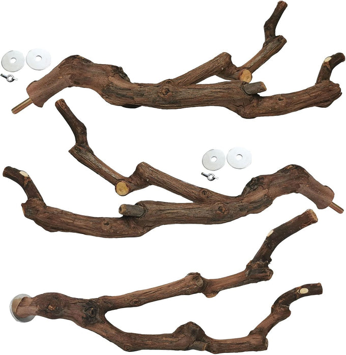 kathson natural parrot bird stand pole wild grape stick paw grinding fork parakeet climbing standing branches toy chewable cage accessories for small budgies cockatiels lovebirds set