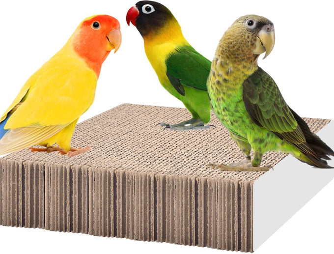 Katumo 7.8 Inch Paper Bird Chew Toy for Parakeet, Cockatiel, Conure, Budgie, Lovebird, and Small Birds