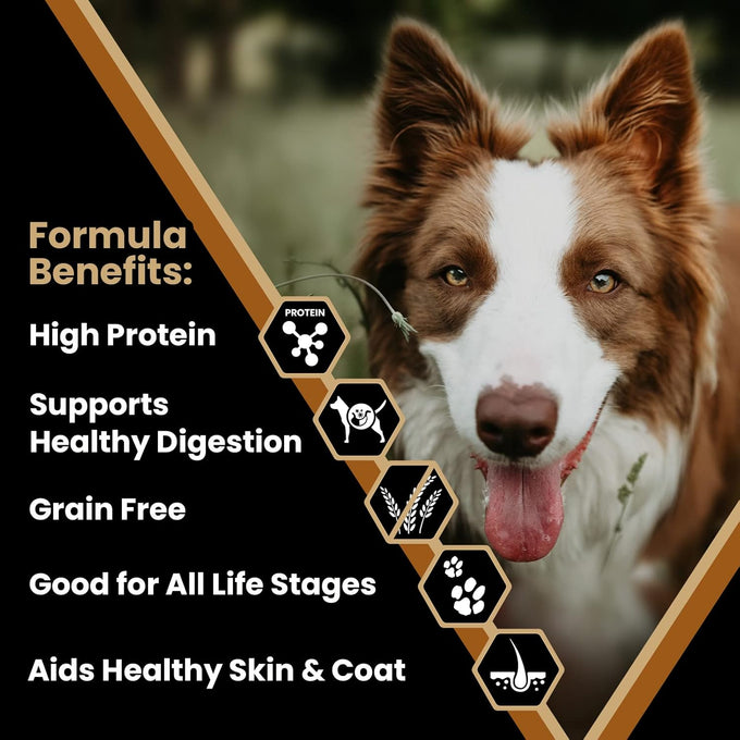 VICTOR Grain-Free Chicken & Sweet Potato Dog Food - 33% Protein