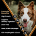VICTOR Grain-Free Chicken & Sweet Potato Dog Food - 33% Protein