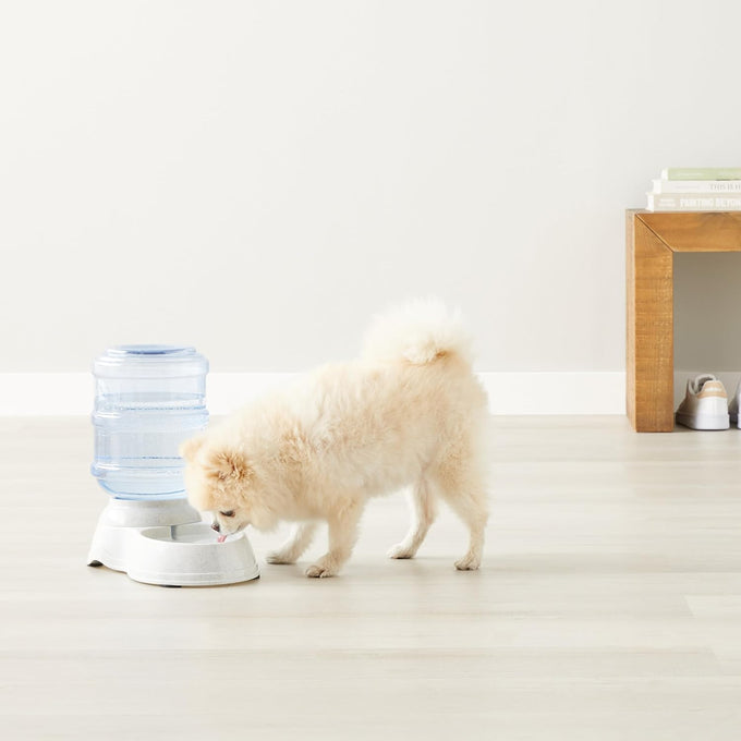 Amazon Basics 1 Gallon Gravity Pet Water Dispenser, Small, Easy to Clean, Gray, for Cat and Dog