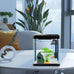 Betta fish tank self cleaning glass 2 gallon small nano aquarium starter kit with led light and whisper filters