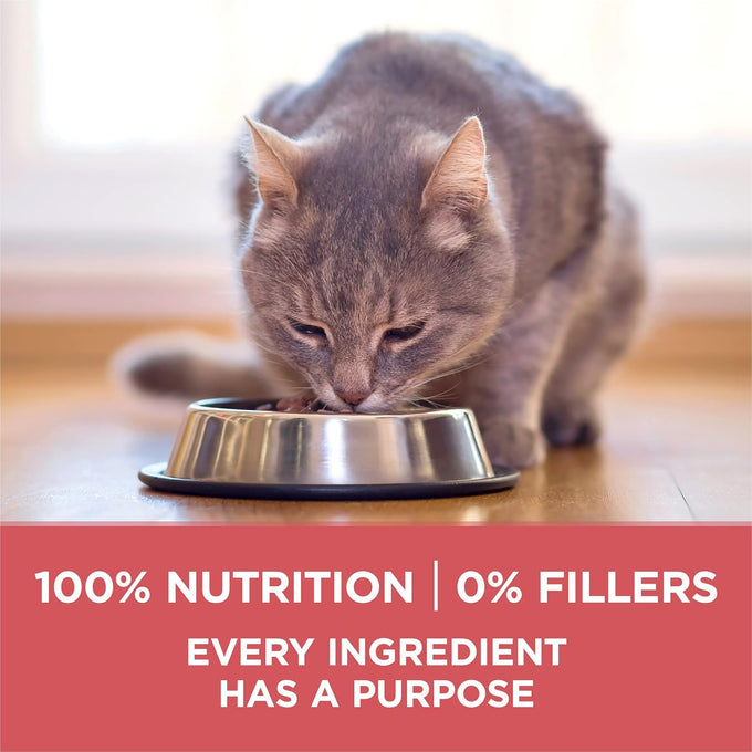 Purina ONE Natural Low Fat Indoor Dry Weight Control High Protein Cat Food with Real Salmon - 7 lb Bag