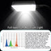 12.6" L 3-gallon nano glass aquarium with separator plate, LED light, filter for betta, multi-functional square fish tank, white 4mm glass