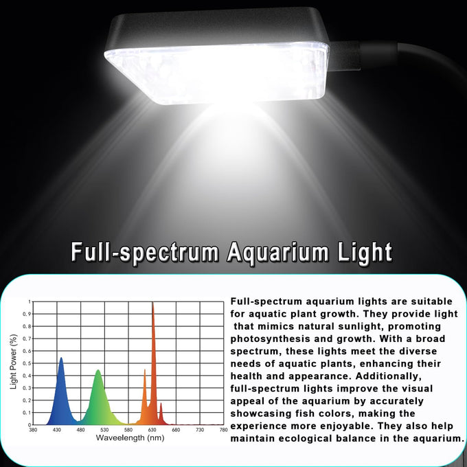 12.6" L 3-gallon nano glass aquarium with separator plate, LED light, filter for betta, multi-functional square fish tank, white 4mm glass