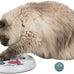 Trixie Cat Activity Flip Board - 4-module treat puzzle enrichment toy for indoor cats - Berry/Gray, 9x9x2.5in