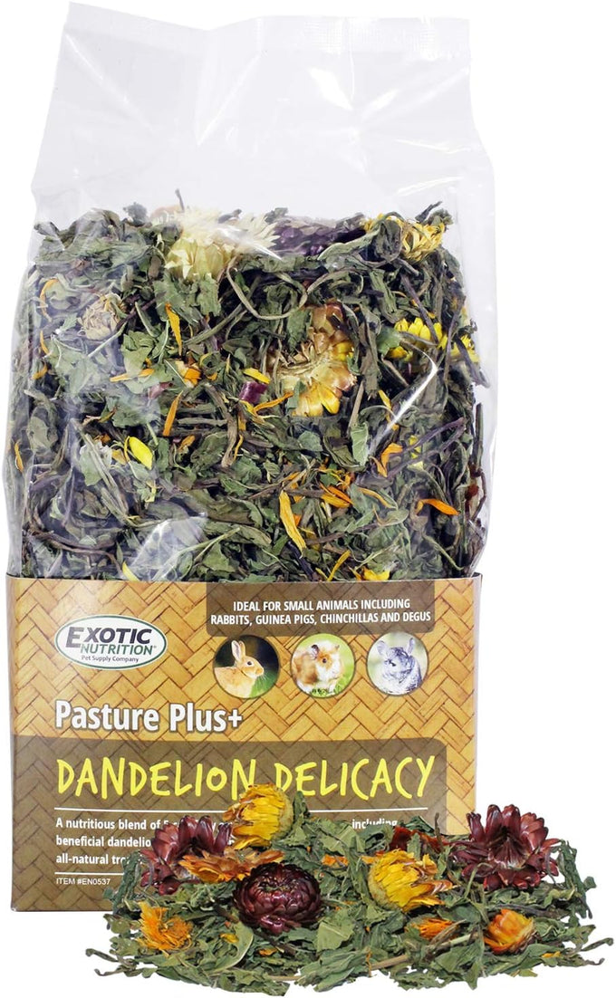 Exotic Nutrition Pasture Plus+ Dandelion Delicacy - Natural High-Fiber Dried Flower Treat for Herbivorous Small Pets