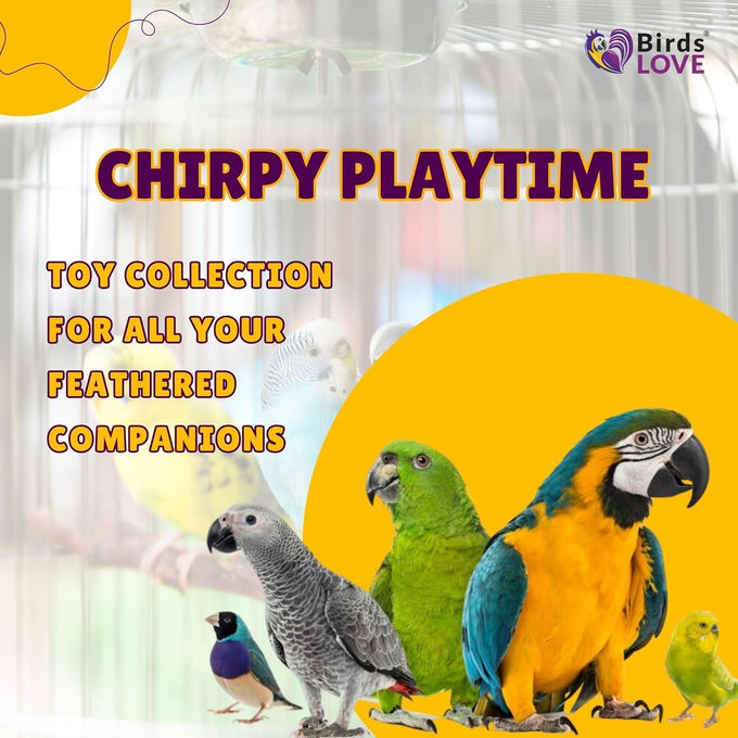 Wood stars & leather toy for small to medium parrots, bird toys for sun conures, green cheeked conures, cockatiels, and more