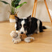 sedioso tug of war dog toy, crinkle donkey plush toy for large dogs, soft squeaky stuffed animal