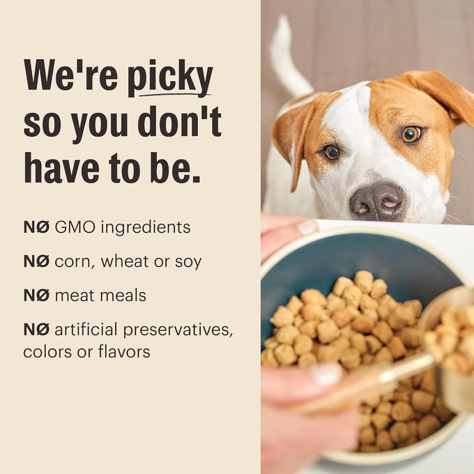 The Honest Kitchen Whole Food Clusters Grain Free Chicken Dry Dog Food, 5 lb