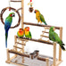 Natural Wooden Parrot Stand for Small to Medium Birds, 16.3" x 10.6" x 23.2", Chestnut Wood, Easy Assembly