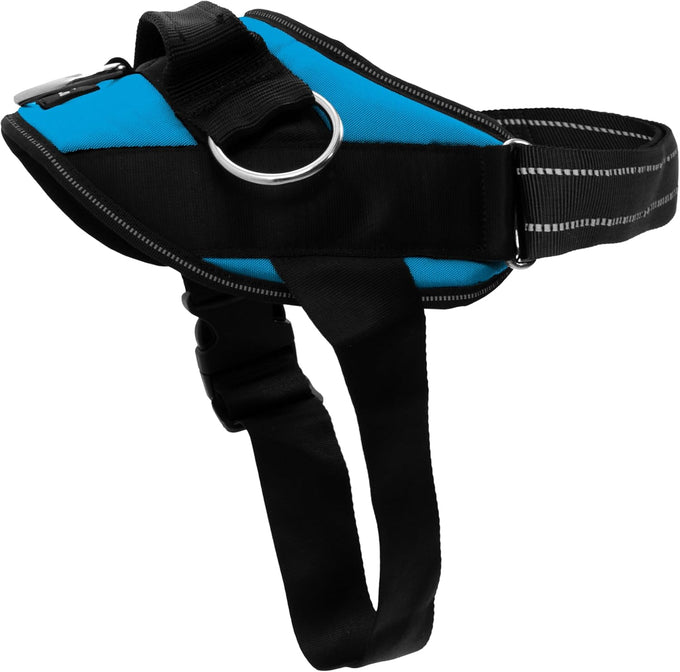 ShawnCo Essential Dog Harness for Small, Medium, and Large Dogs, No-Pull Pet Vest with 3 Leash Clips and Reflective Straps, Oceanic Blue, S