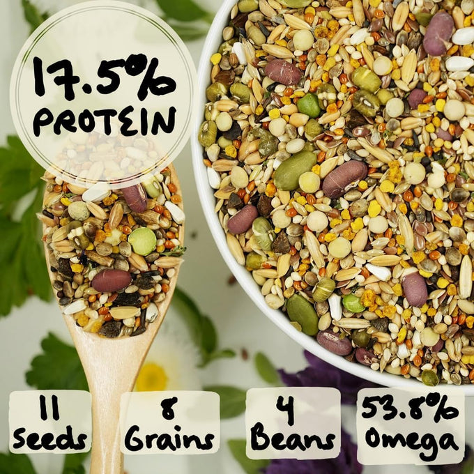 Feather Shine high potency parrot food with bee pollen, sprouts, USA-made, 17.5% plant protein, omega rich, molting, breeding, growth