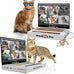 cat laptop scratcher 3-in-1 cardboard interactive kitten toy with mouse jingle ball stickers