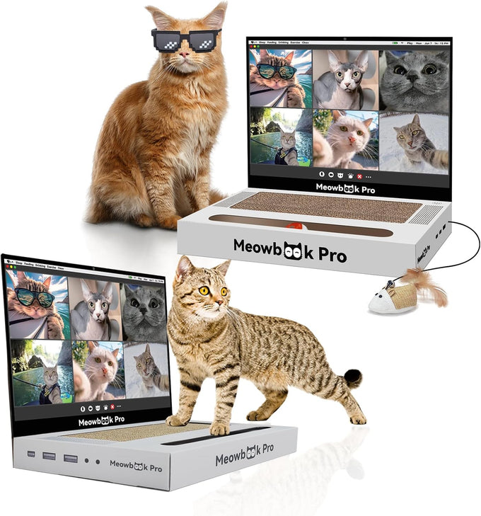 cat laptop scratcher 3-in-1 cardboard interactive kitten toy with mouse jingle ball stickers